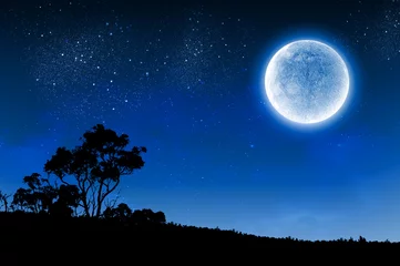 Deurstickers Nacht Volle maan