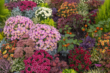 colourful flowerbed