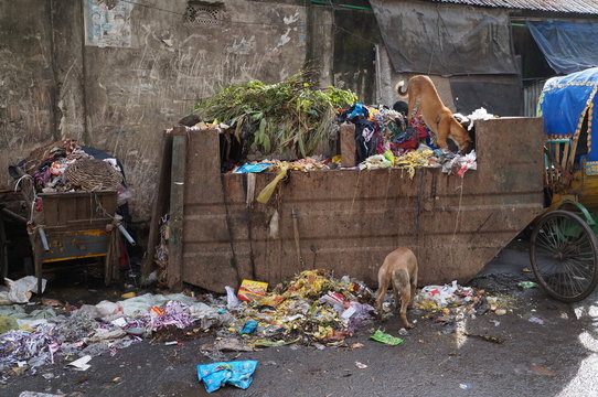 The garbage container in Dhaka