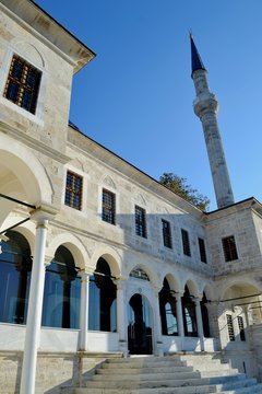 Cami