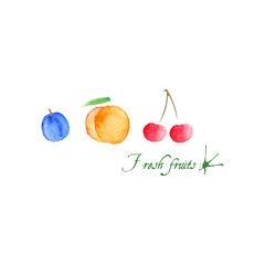 Vector watercolor background. Peach, plum and cherry
