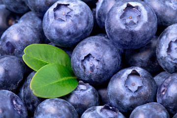 blueberries background