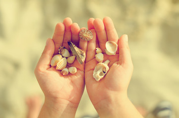 Child hands holding sea shells. Vintage effect photo.