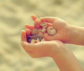 Child hands holding sea shells. Vintage effect photo.