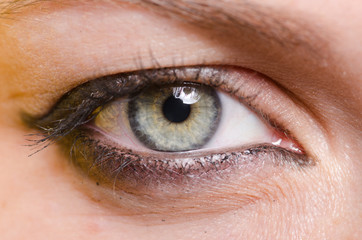 Close up of woman eye