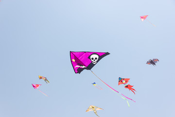 Kite festival