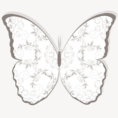 Vector template for folder, business card and invitation