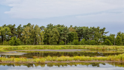 Am Bodstedter Bodden