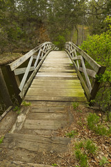 Ramsey Creek Scenic