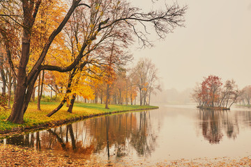 Autumn lake in the park