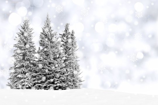 Snowy trees with twinkling silver background and snowflakes