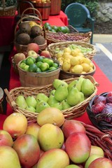 Farmers Market - Fairchild Gardens