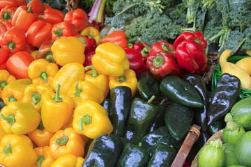 farmers Market - Fairchild Gardens - Vegetable