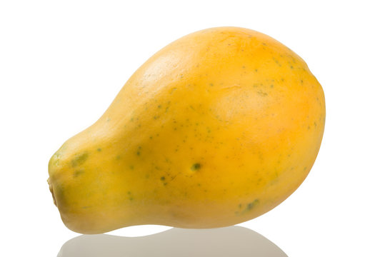 Papaya, Carica papaya