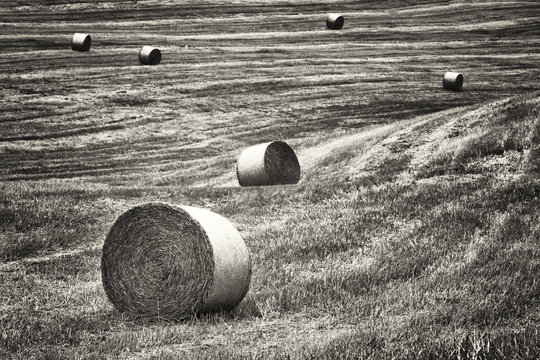 haybales