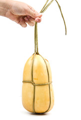	scamorza affumicata