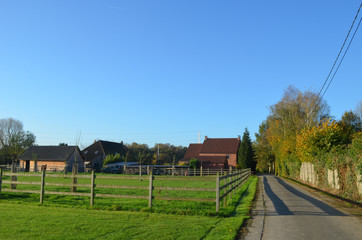 Fototapeta premium countryside