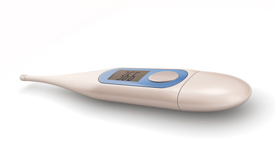 Electronic thermometer