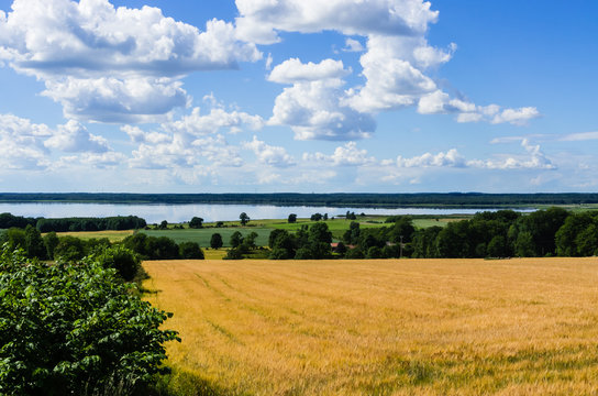 Rural landscape with corn field and a lake.