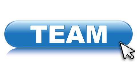 TEAM ICON