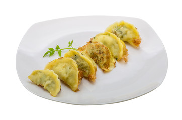 Japan dumplings - gyoza