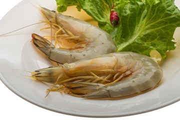 Tiger prawn