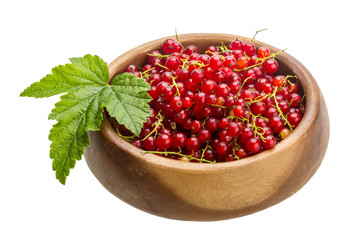 Red currant