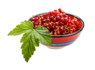 Red currant