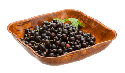 Black currant