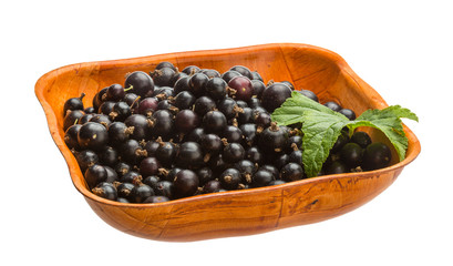 Black currant