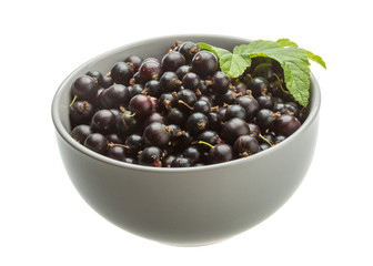 Black currant
