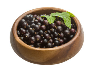 Black currant