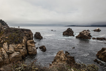 Fototapeta na wymiar California Point Lobos Scenery
