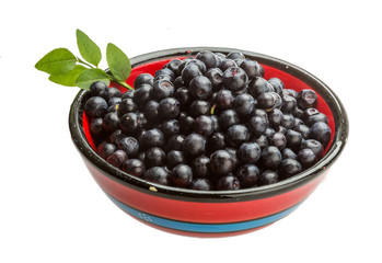 Blueberry