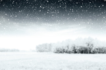 Fototapeta premium xmas