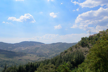 Fototapeta na wymiar Pinetree woods on the mountain slope in Italy