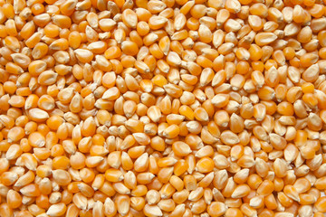 pop corn