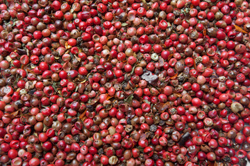red pepper texture