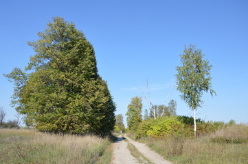 Брянские пейзажи