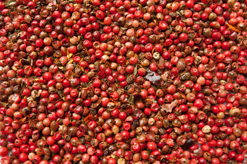 red pepper texture