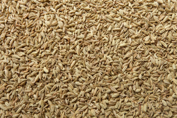 fennel seeds texure