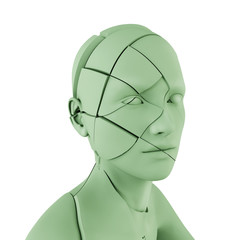 Human head cut