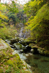 安居渓谷　昇竜の滝