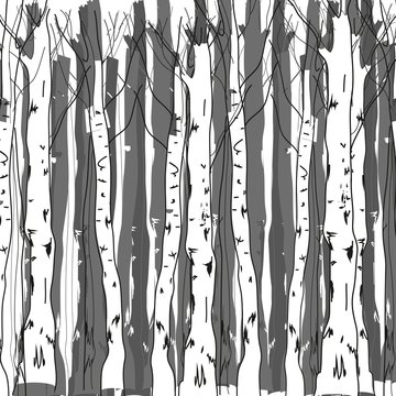 Background of birch trunks