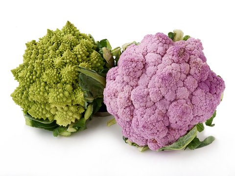 pink and green calliflowers