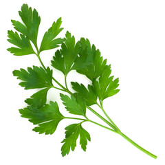 Parsley