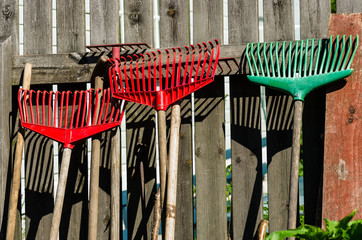 Rakes against a fence in the garden.