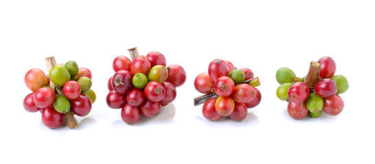ripe coffee beans on white background