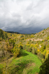 Fototapeta na wymiar Eifel im Herbst