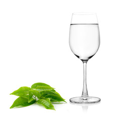 Glass of water and tea leaves ilsolated on white background